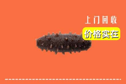 肥东县回收海参