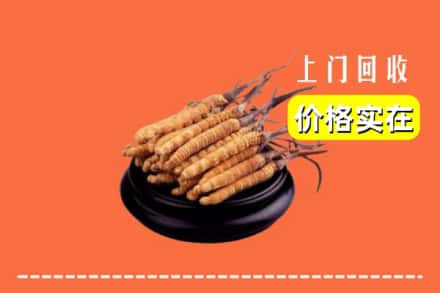 肥东县回收冬虫夏草