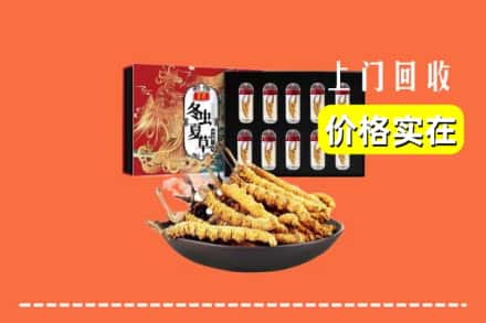 肥东县回收虫草